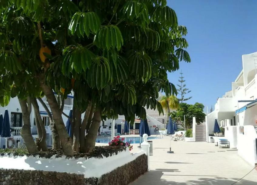 Ferienwohnung Porto Royale Los Cristianos  Exterior foto